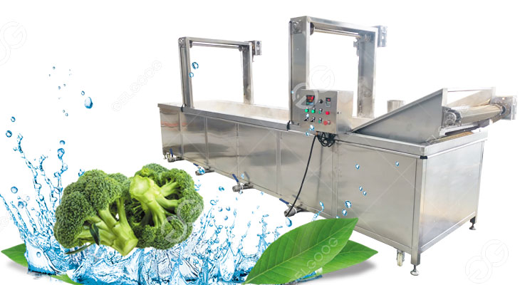 broccoli blanching machine