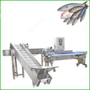 fish grading machine