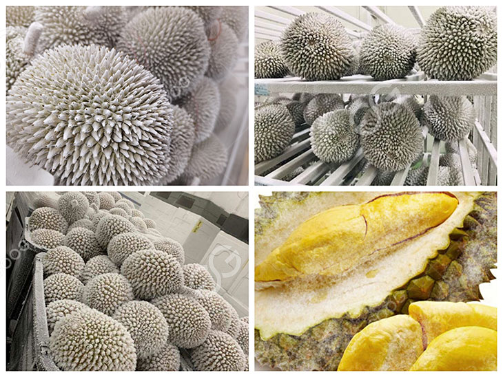 durian freezer details
