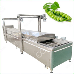 green bean blanching machine
