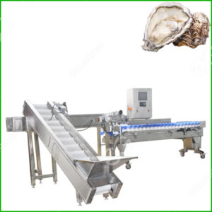oyster grading machine