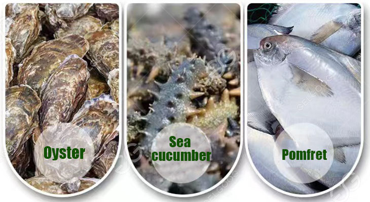 seafood kinds
