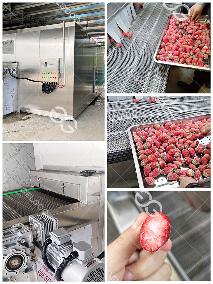 strawberry freezing machine