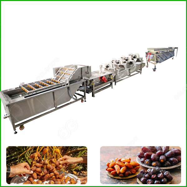 dates fruit processing line