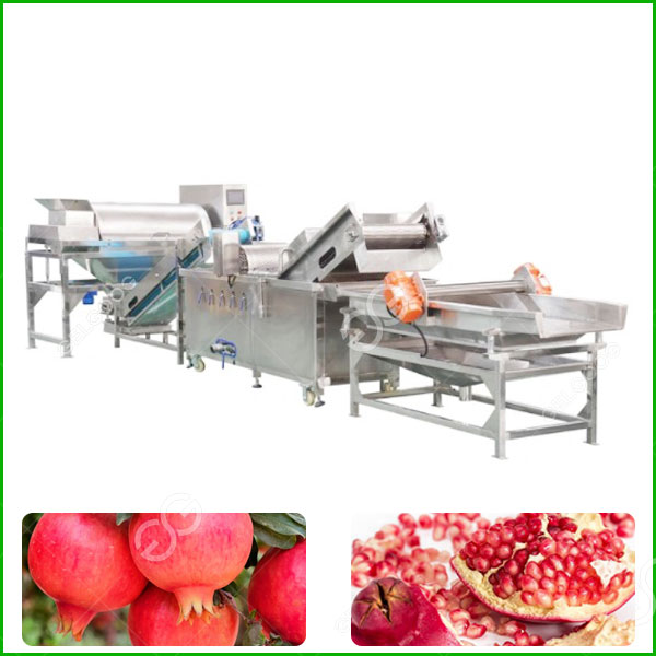 pomegranate processing plant