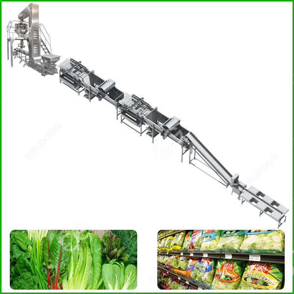fresh cutted vegetable processing line