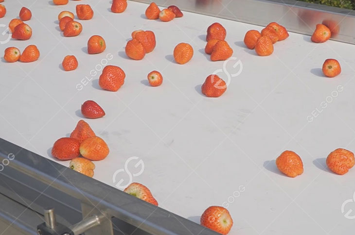 Strawberry Convey
