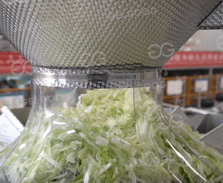 salad-processing-equipment