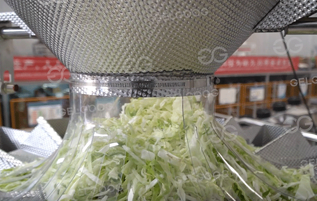 salad-processing-equipment